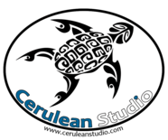 ceruleanstudio.com